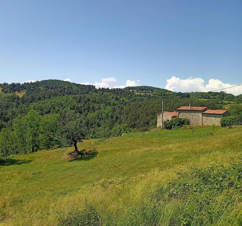 Ecrin De Verdure En Ardeche Verte Colombier-le-Vieux